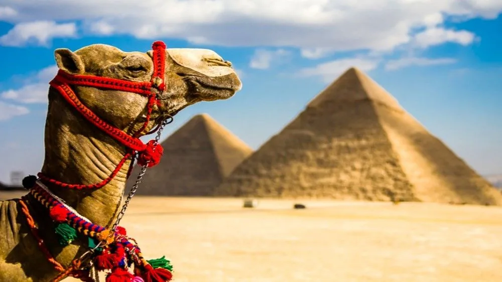 Mejores agencias para viajar a Egipto