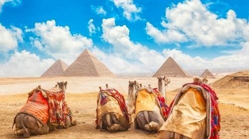 Camellos en las pirámides de Egipto