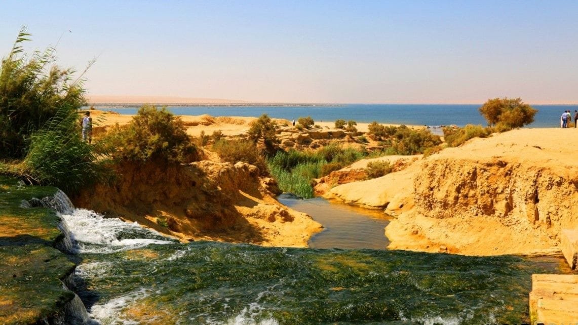 Excursión al oasis de Fayoum