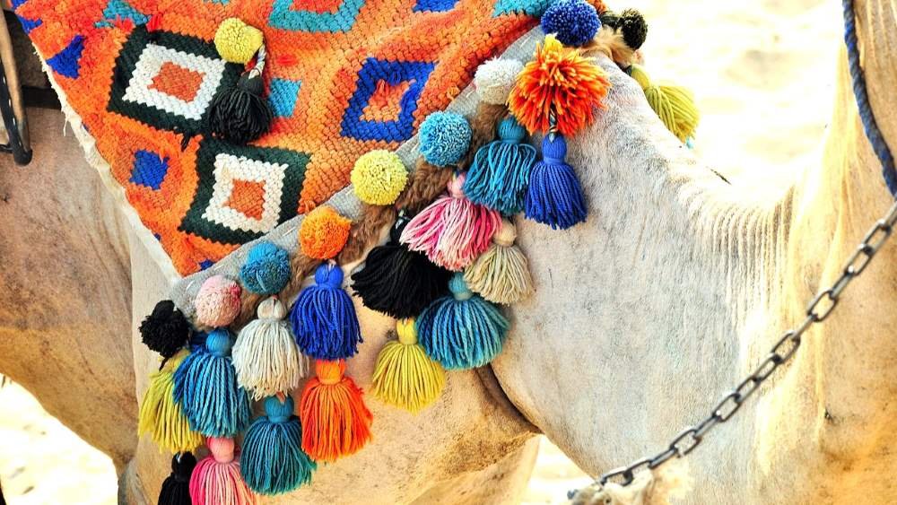 Ropa para viajar a Egipto en marzo