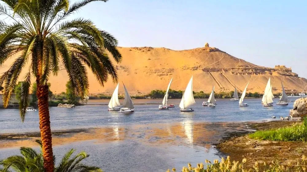 Festival de Wafaa El-Nil (وفاء النيل)