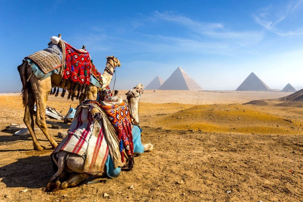 Tour completo por El Cairo y Giza. 